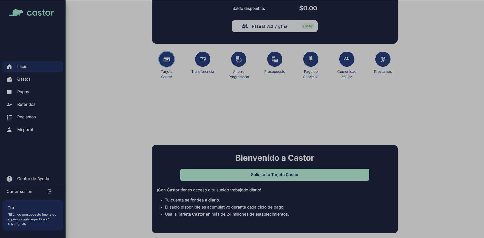 Castor, Inc — 4
